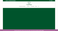 Desktop Screenshot of capolupocalzature.com